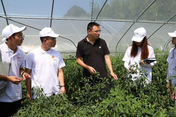 实践团参观蔬菜大棚。重庆师范大学供图