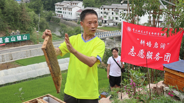 蜂农展示蜂箱内部结构。重庆师范大学供图 蜂农展示蜂箱内部结构。重庆师范大学供图